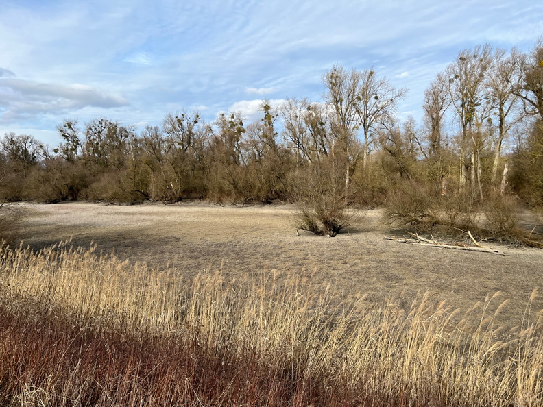 23-02-18 14-23-49 4252